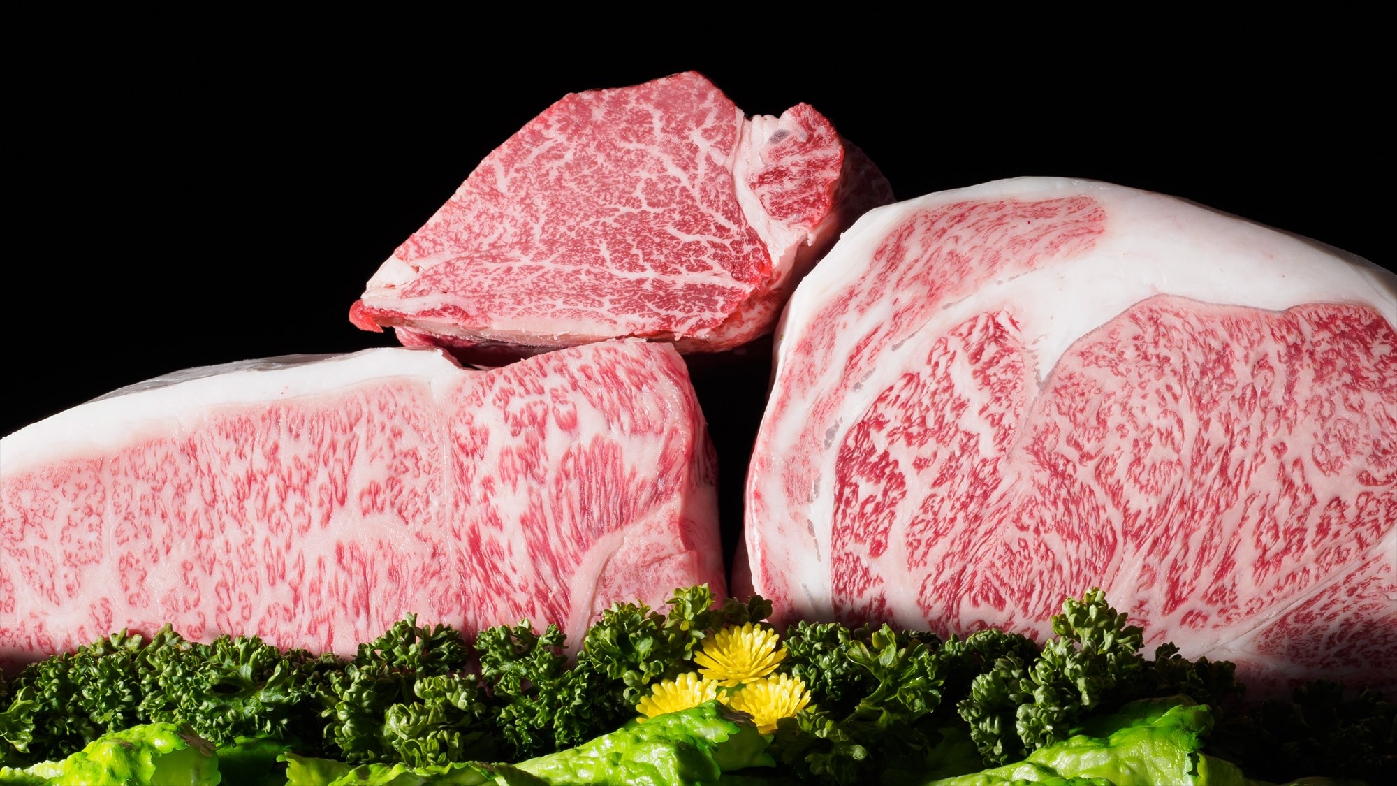 Mie Prefecture brand | Enjoy Matsusaka beef