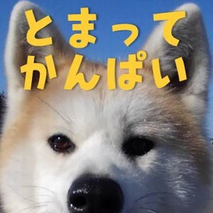過夜