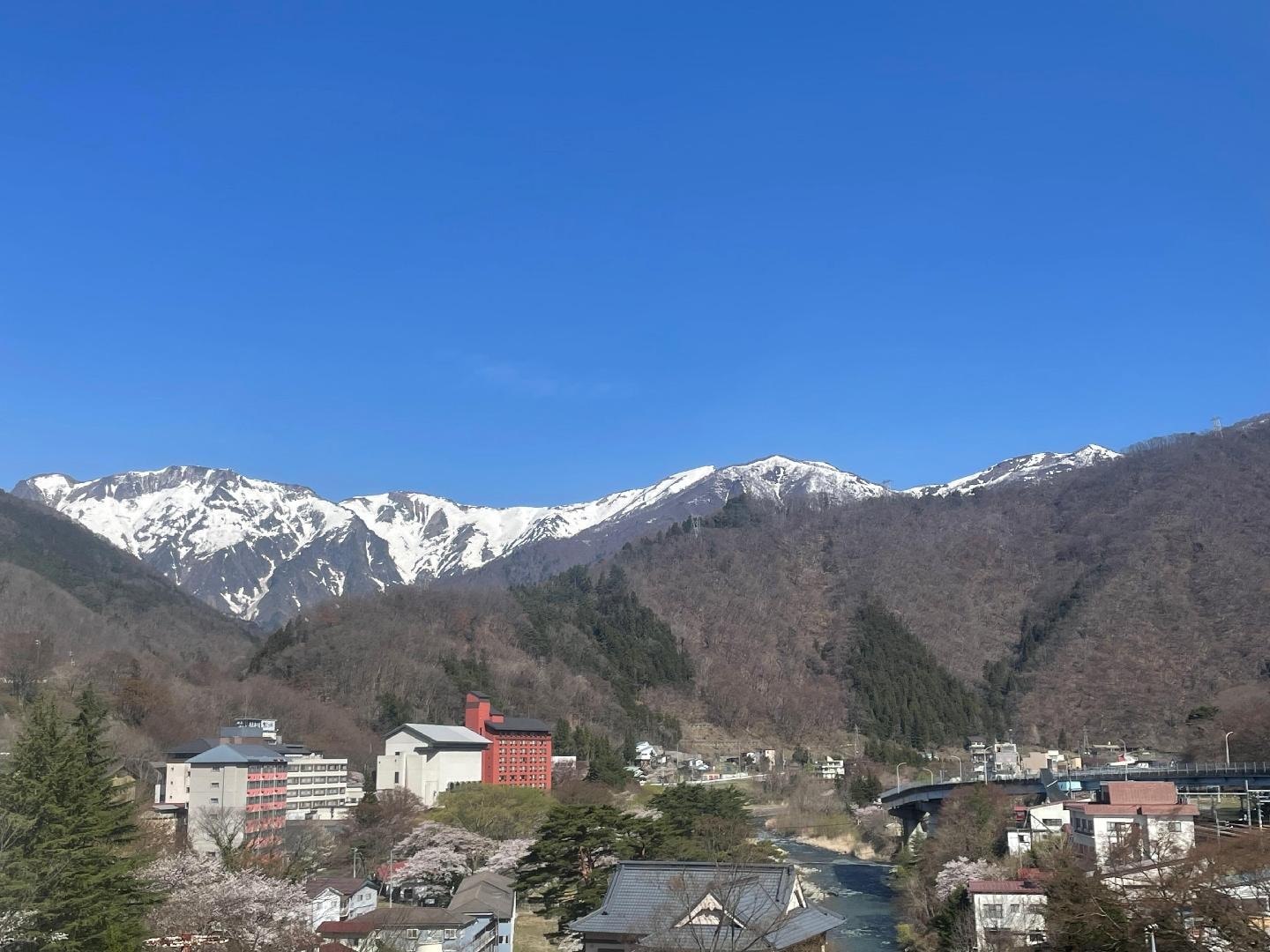 IMG_5667.jpeg