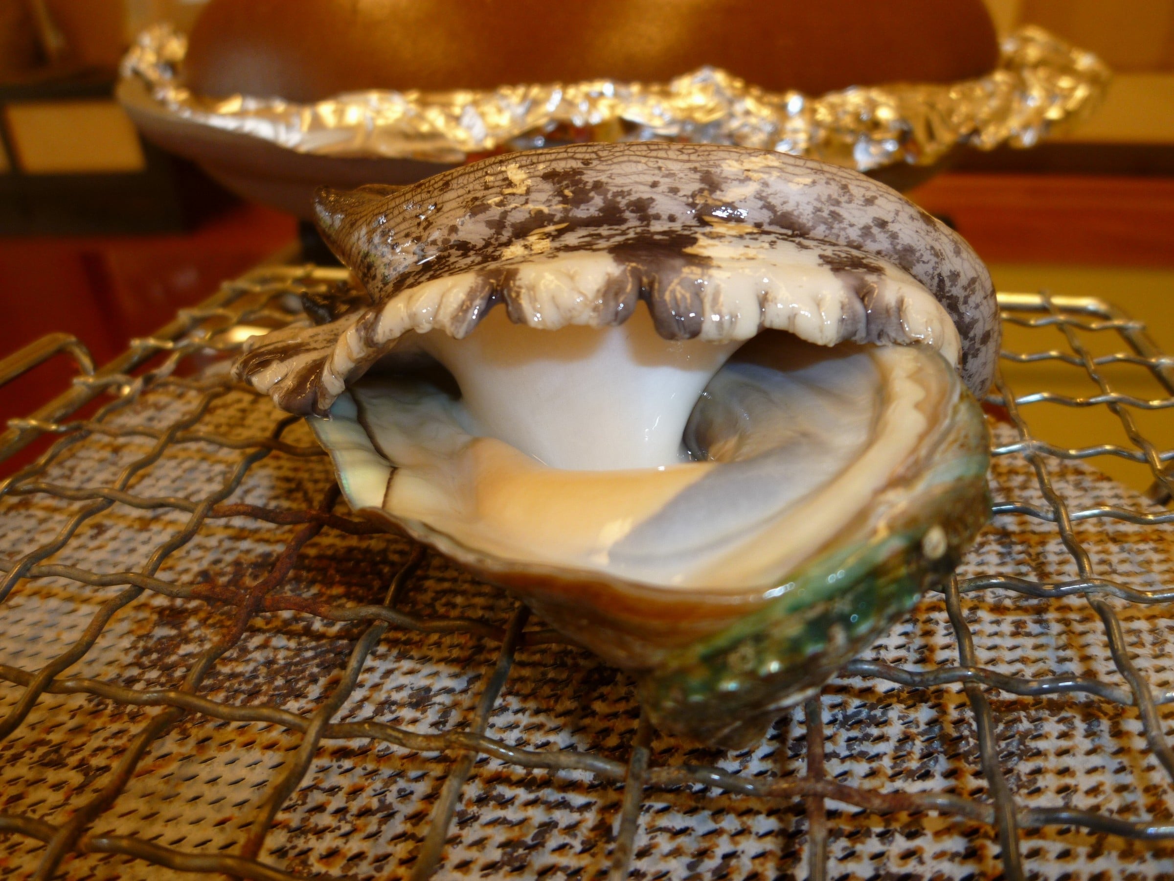 abalone