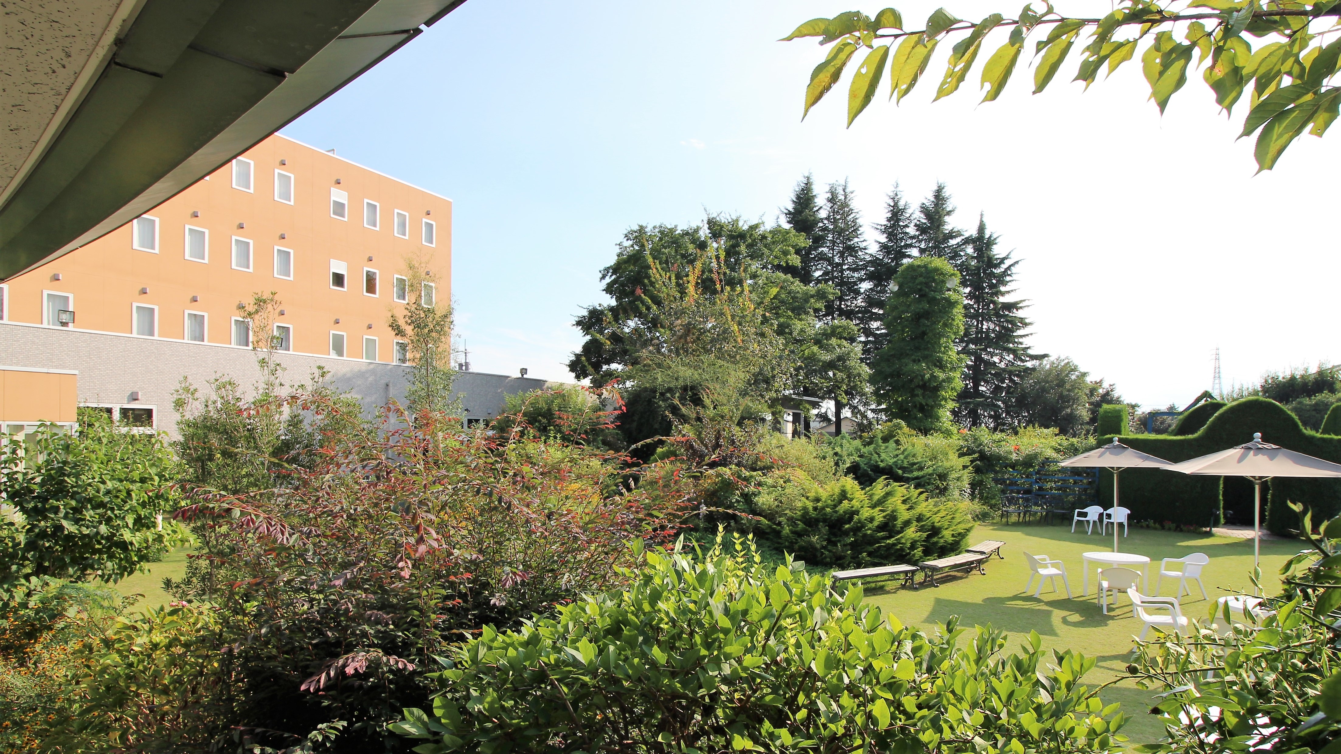 Panoramic view