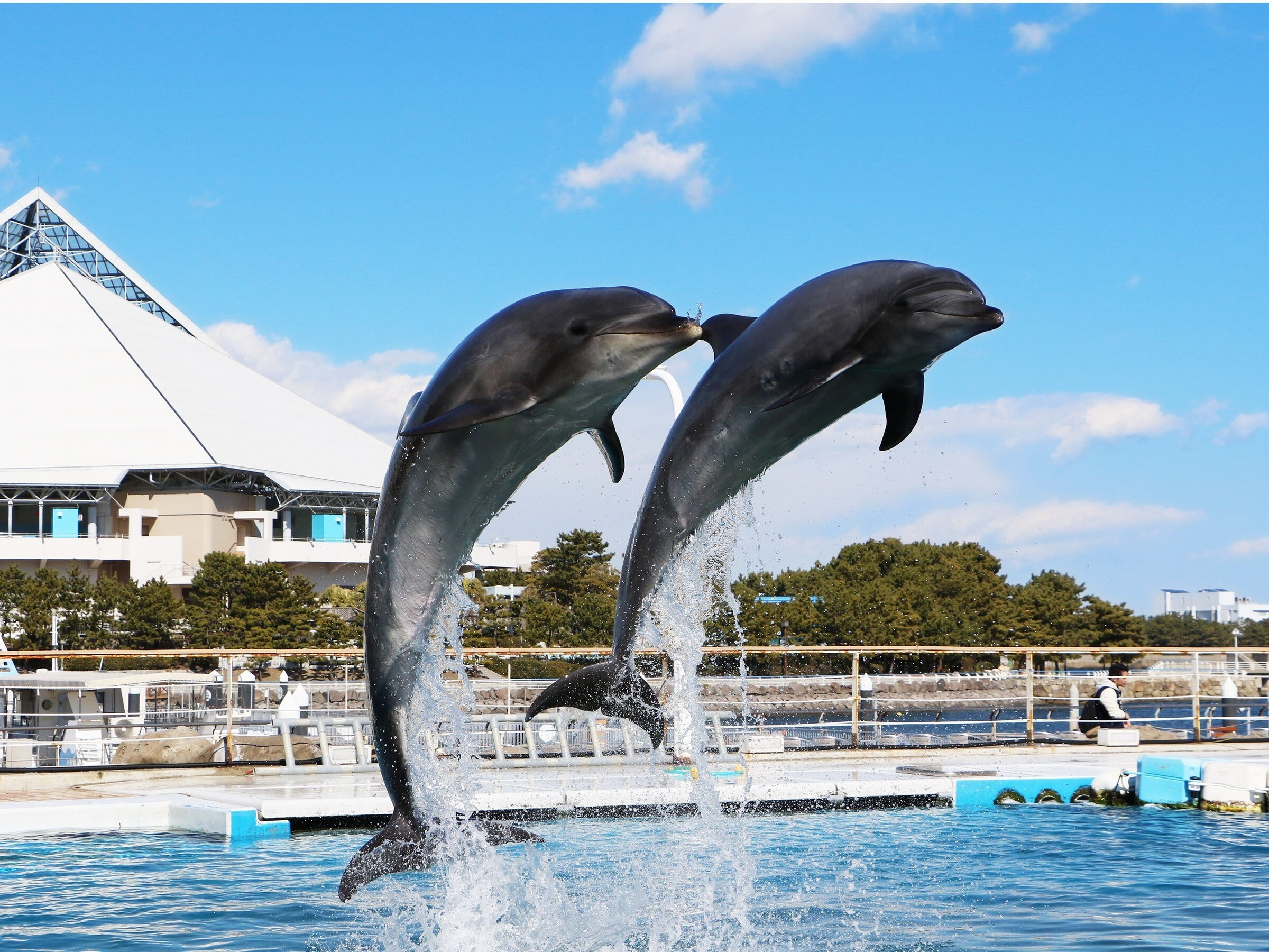 Đây là khách sạn gần nhất với Yokohama Hakkeijima Sea Paradise.