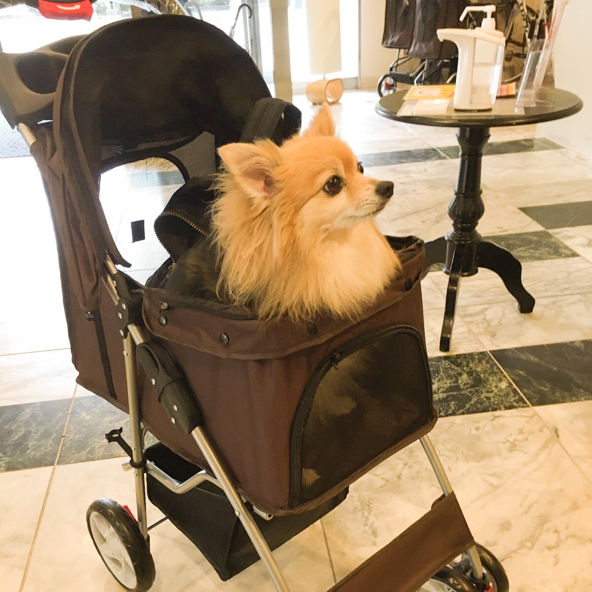 Pets and Accommodation Page (Cart)