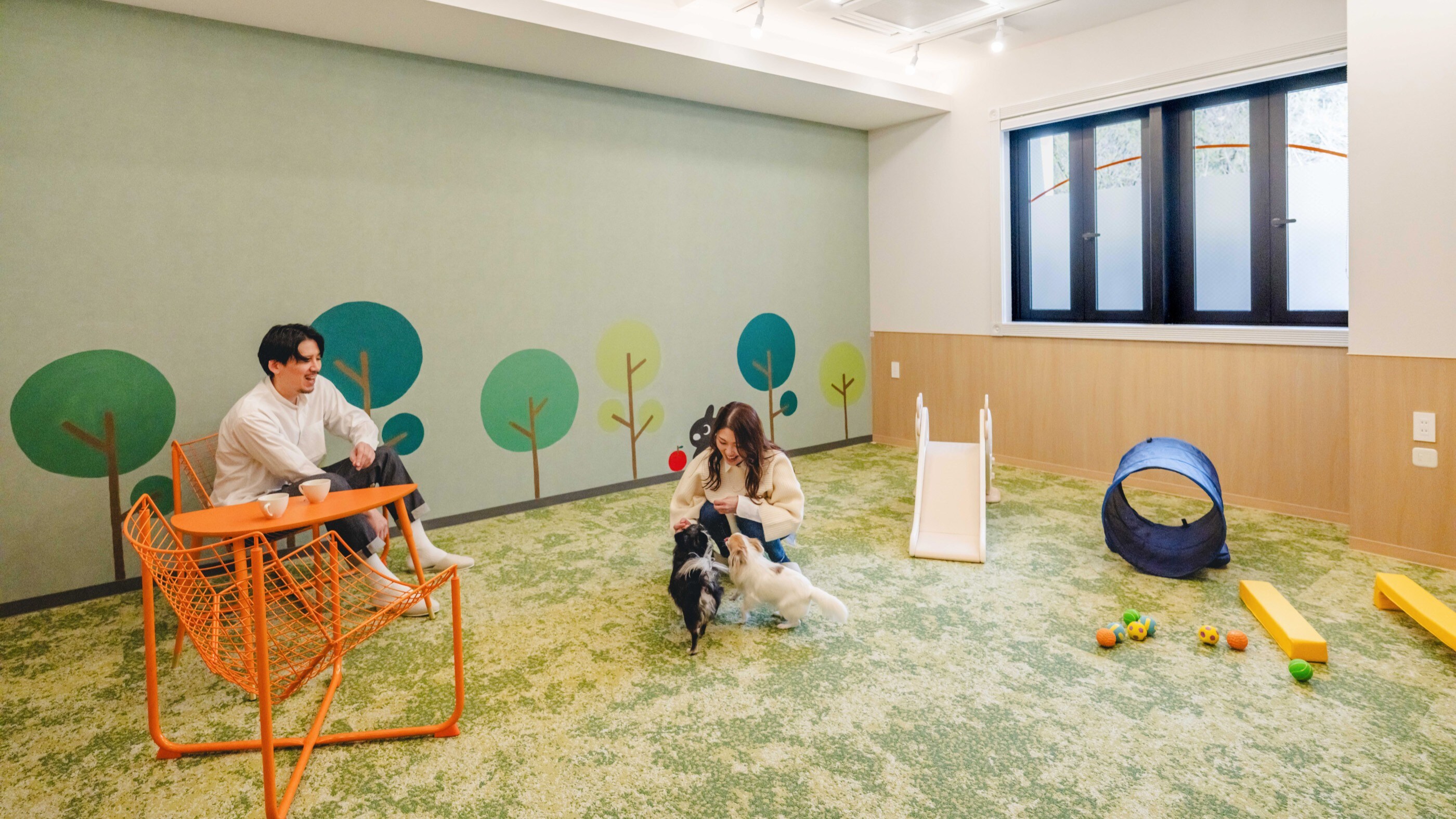 高級套房室內遛狗場