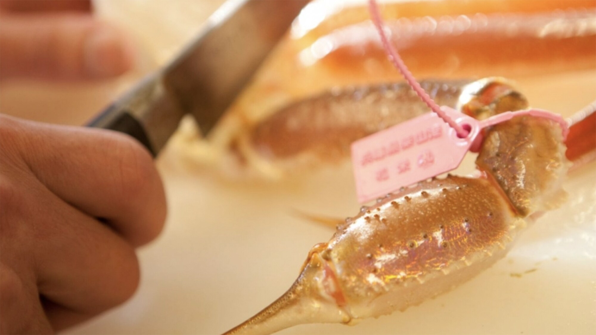 [Winter dinner] Branded Matsuba crab with tag (the color of the tag varies depending on the fishing port)