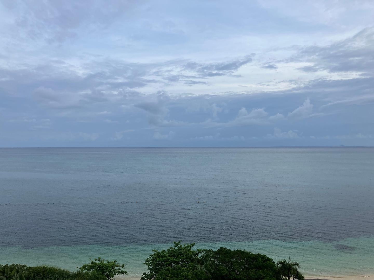 IMG_1107.jpeg
