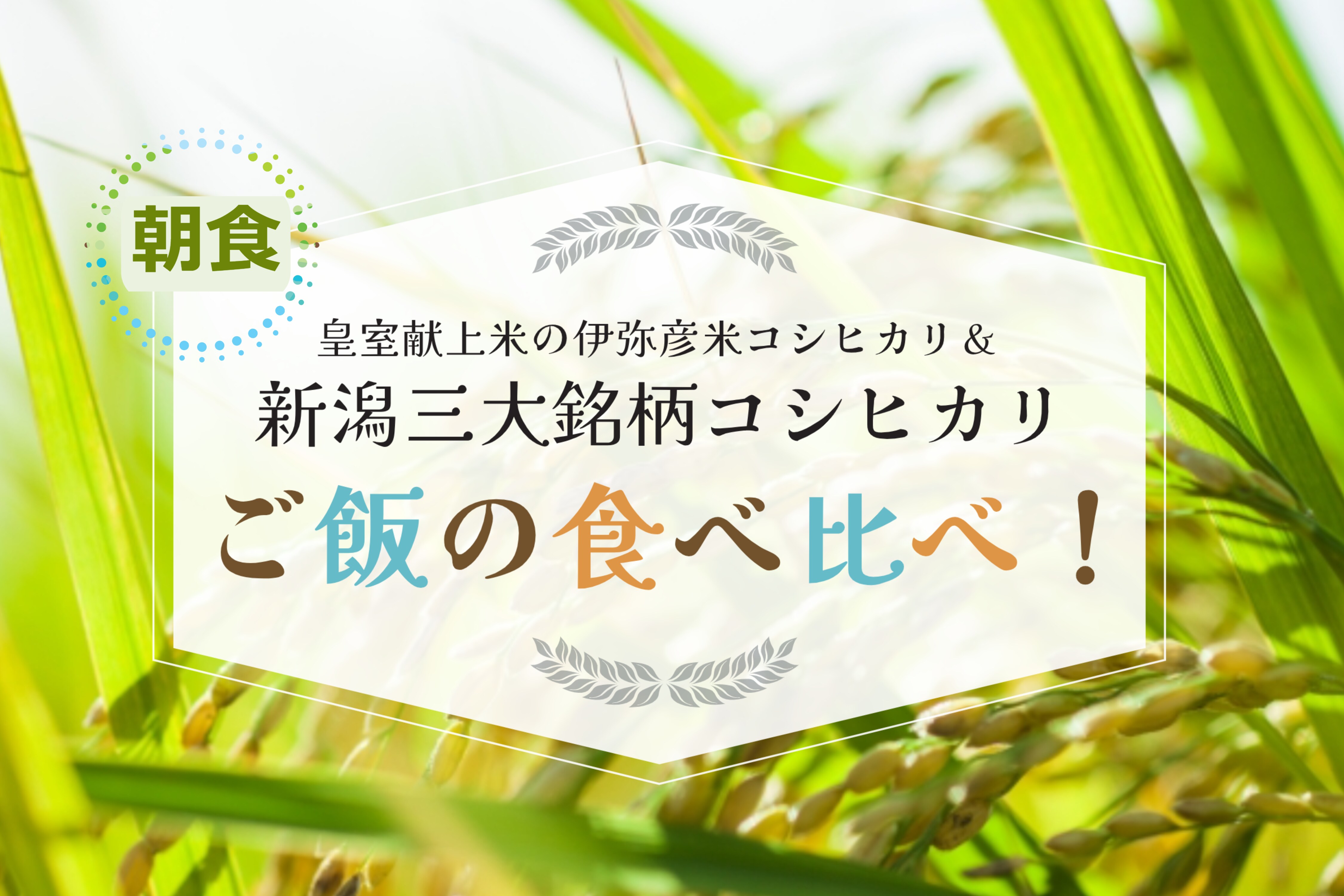 Taste and compare three types of rice, including Imayahiko rice, which was presented to the imperial family, and Niigata's three major brands (Uonuma, Sado, Iwafune) and Koshihikari♪