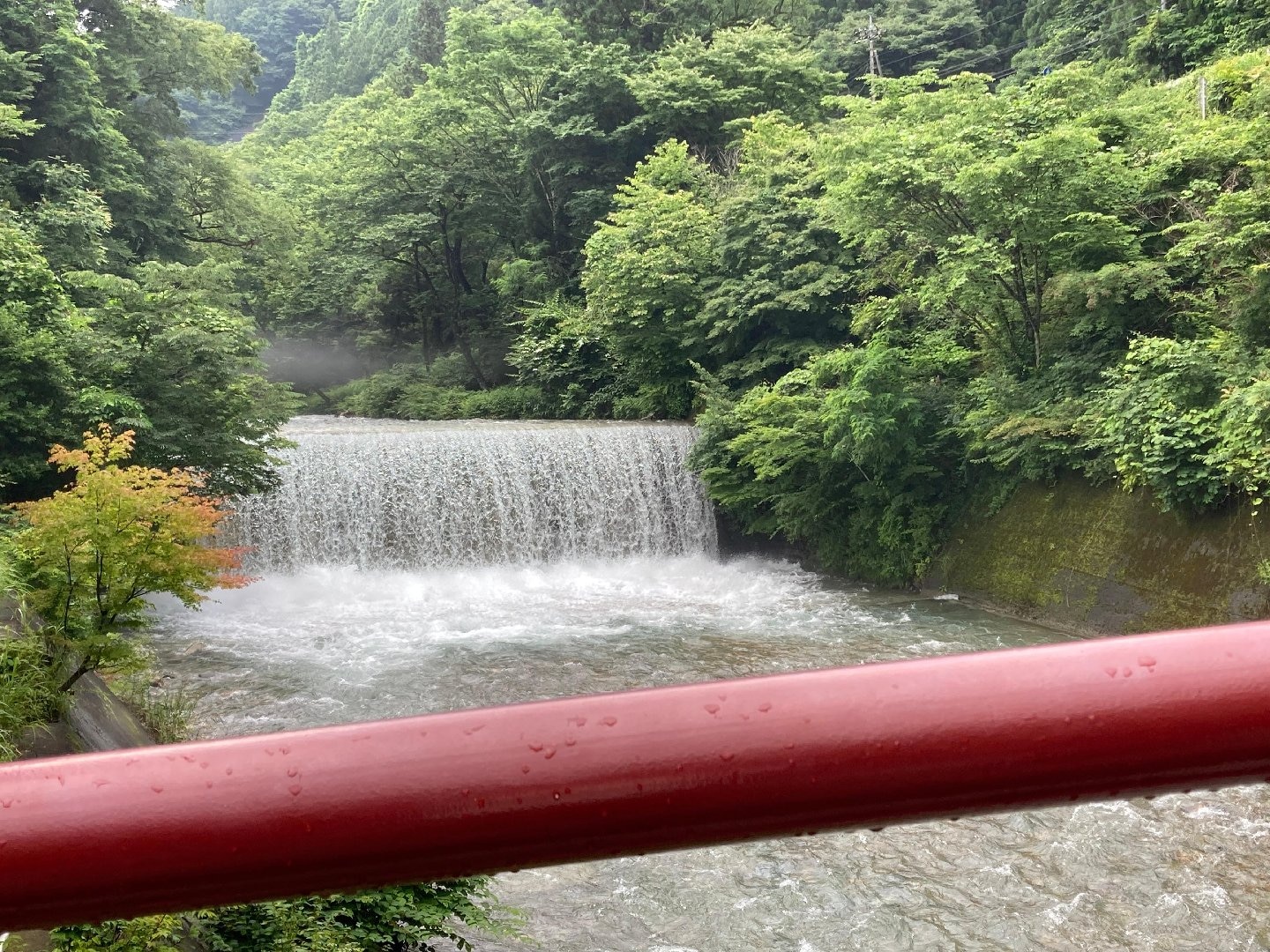 IMG_8392.jpeg