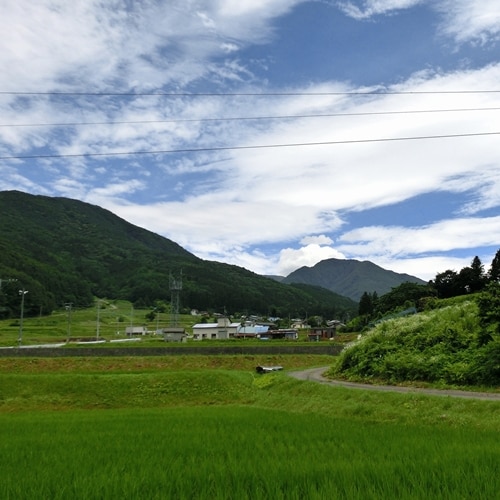 蕨野背後的田園風光是真正的日本原始風景。