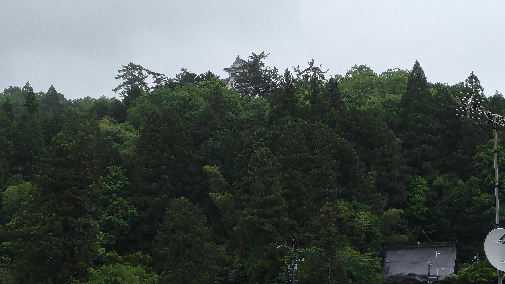 IMG_20260523_073649649_HDR.jpg