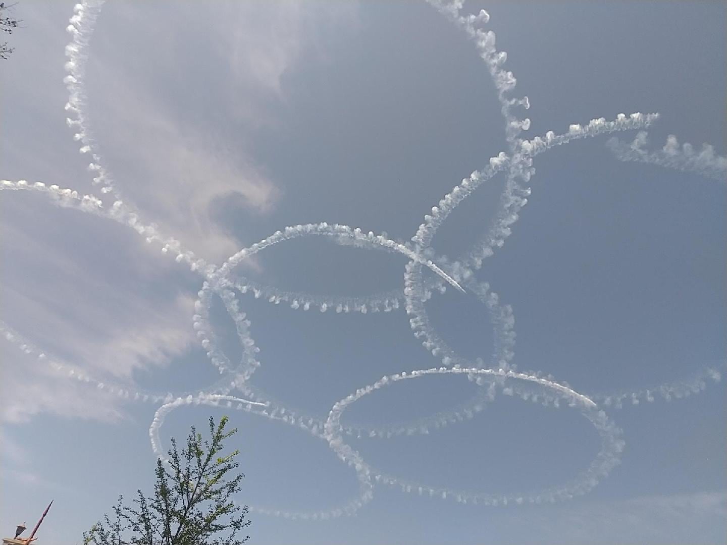 1000022059.jpg