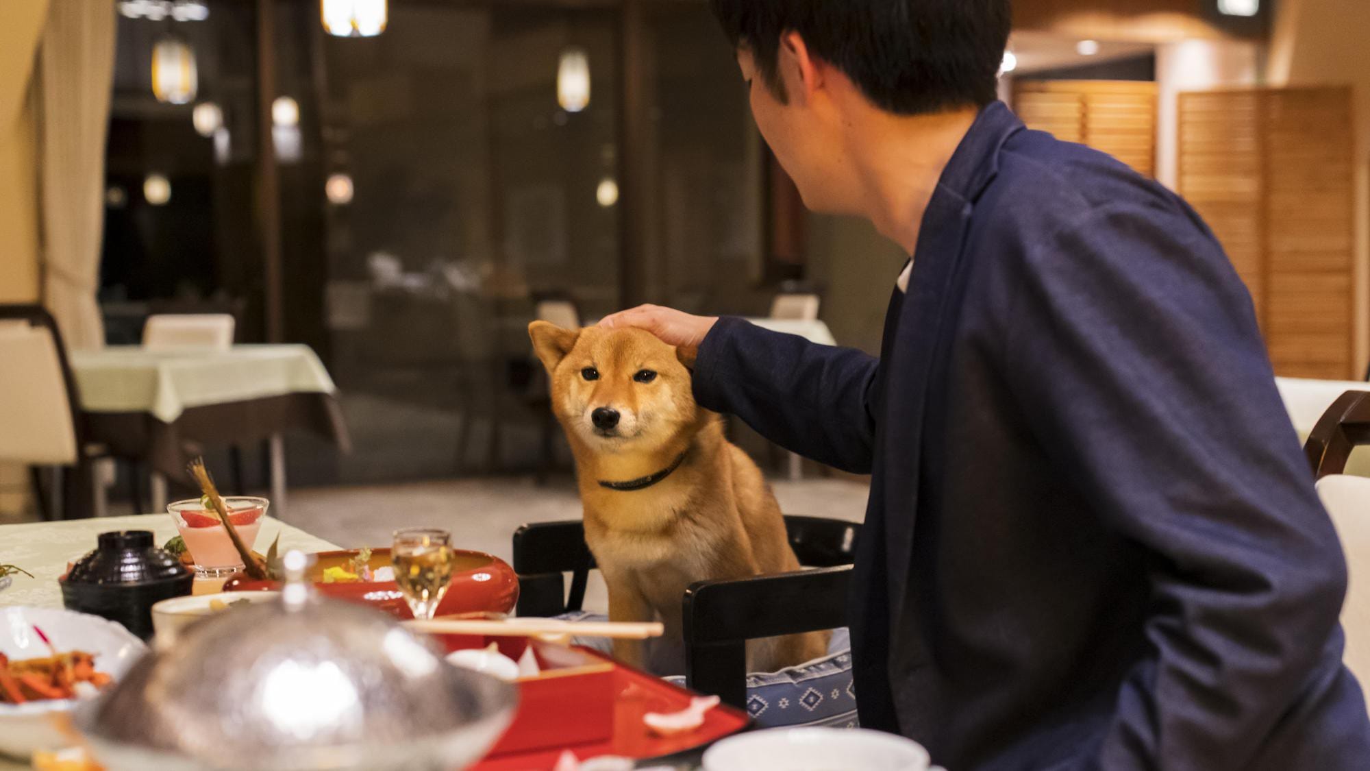 ร้านอาหารญี่ปุ่น "ฮานะ อิซุมิ" เป็นมิตรกับสุนัข! คุณสามารถเพลิดเพลินกับมื้ออาหารกับสุนัขของคุณได้
