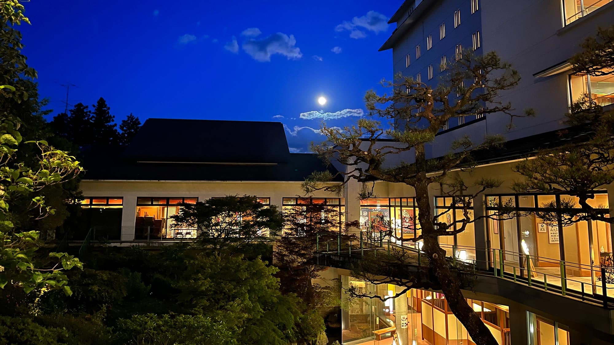 Garden and full moon