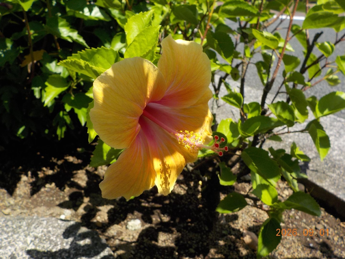 DSCN2429.JPG