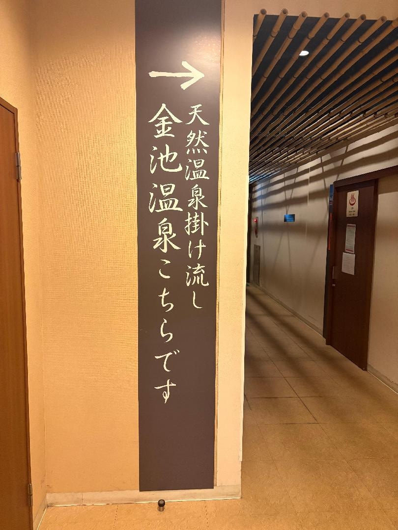 229B613E-3411-4EC3-BD51-10E254E95021.jpeg
