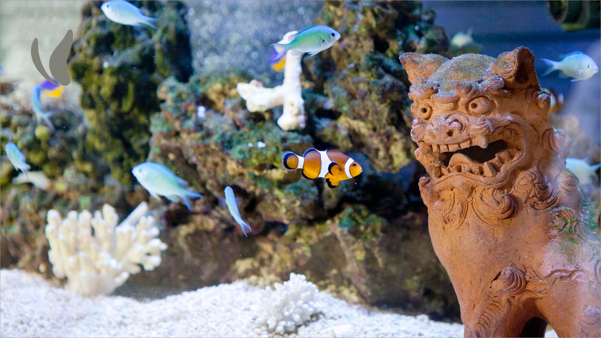 水族館