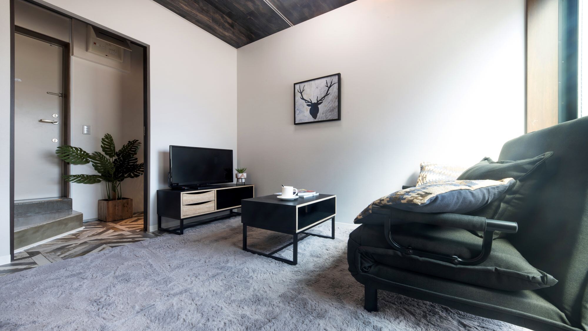 Western-style room type (living room)