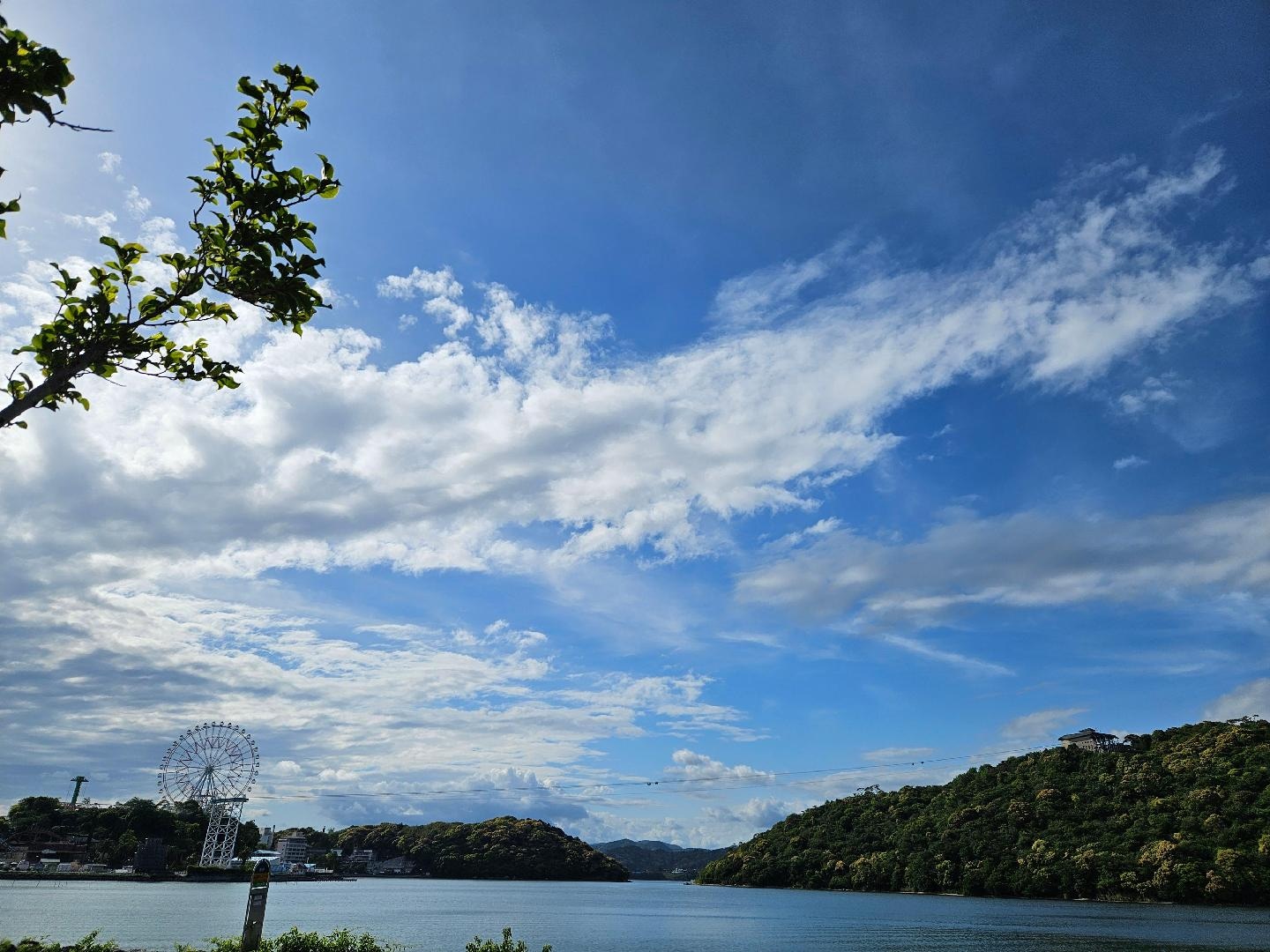 bc2c0f-fe14-48d6-a309-09a929c245ef-1_all_15671.jpg