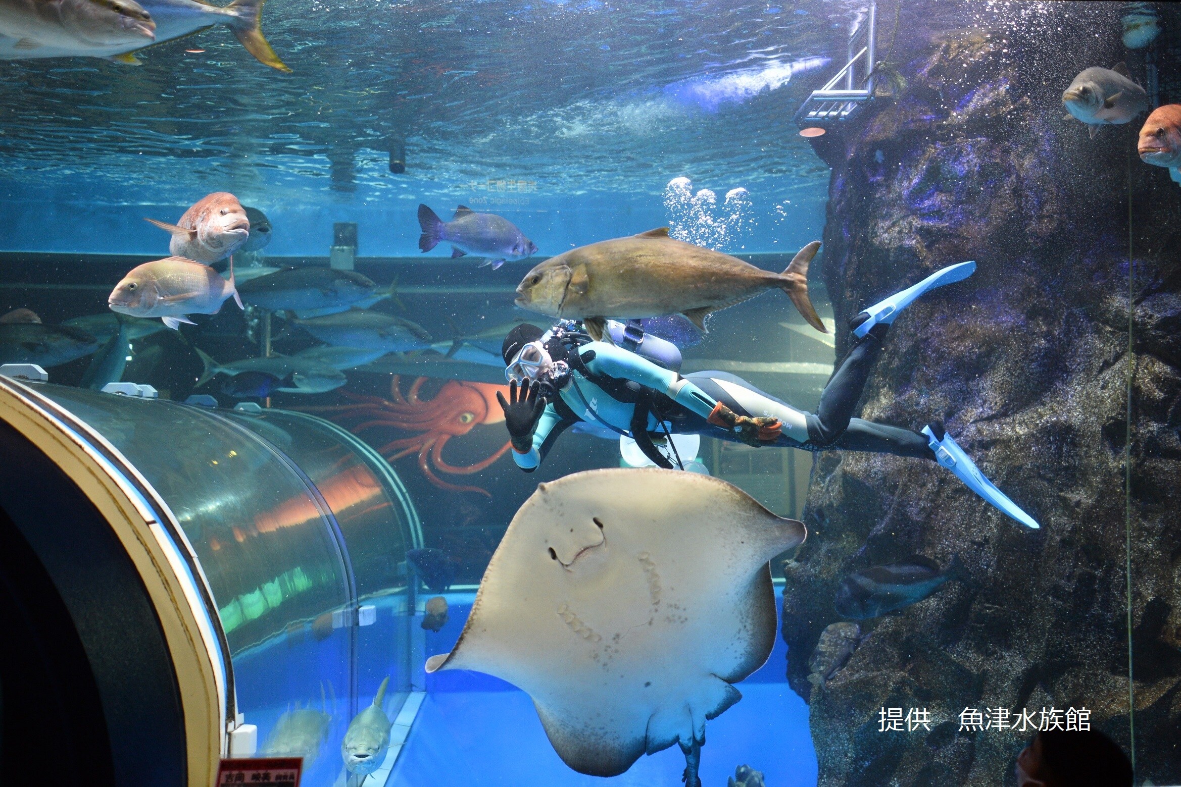 Uozu Aquarium