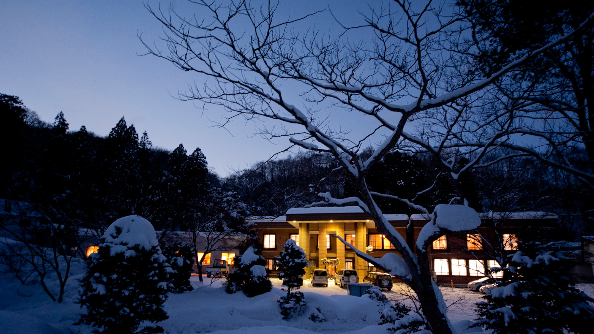 * Appearance (winter)