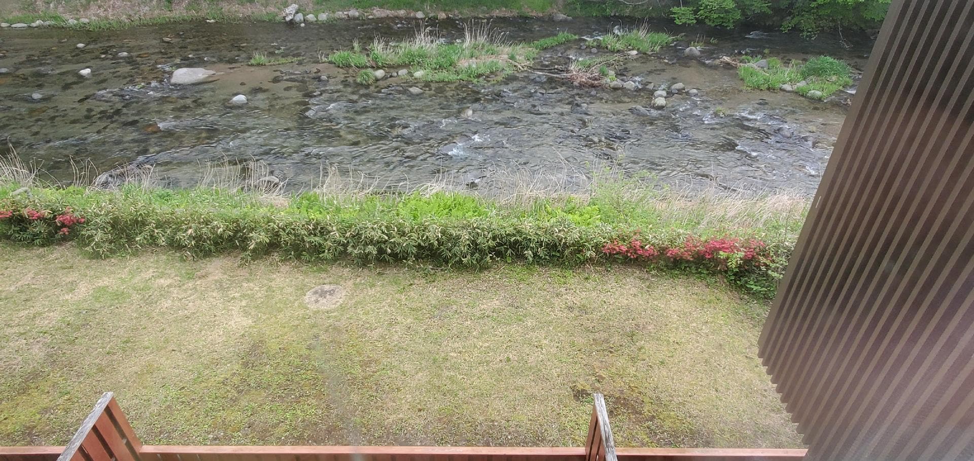 20260508_061422.jpg