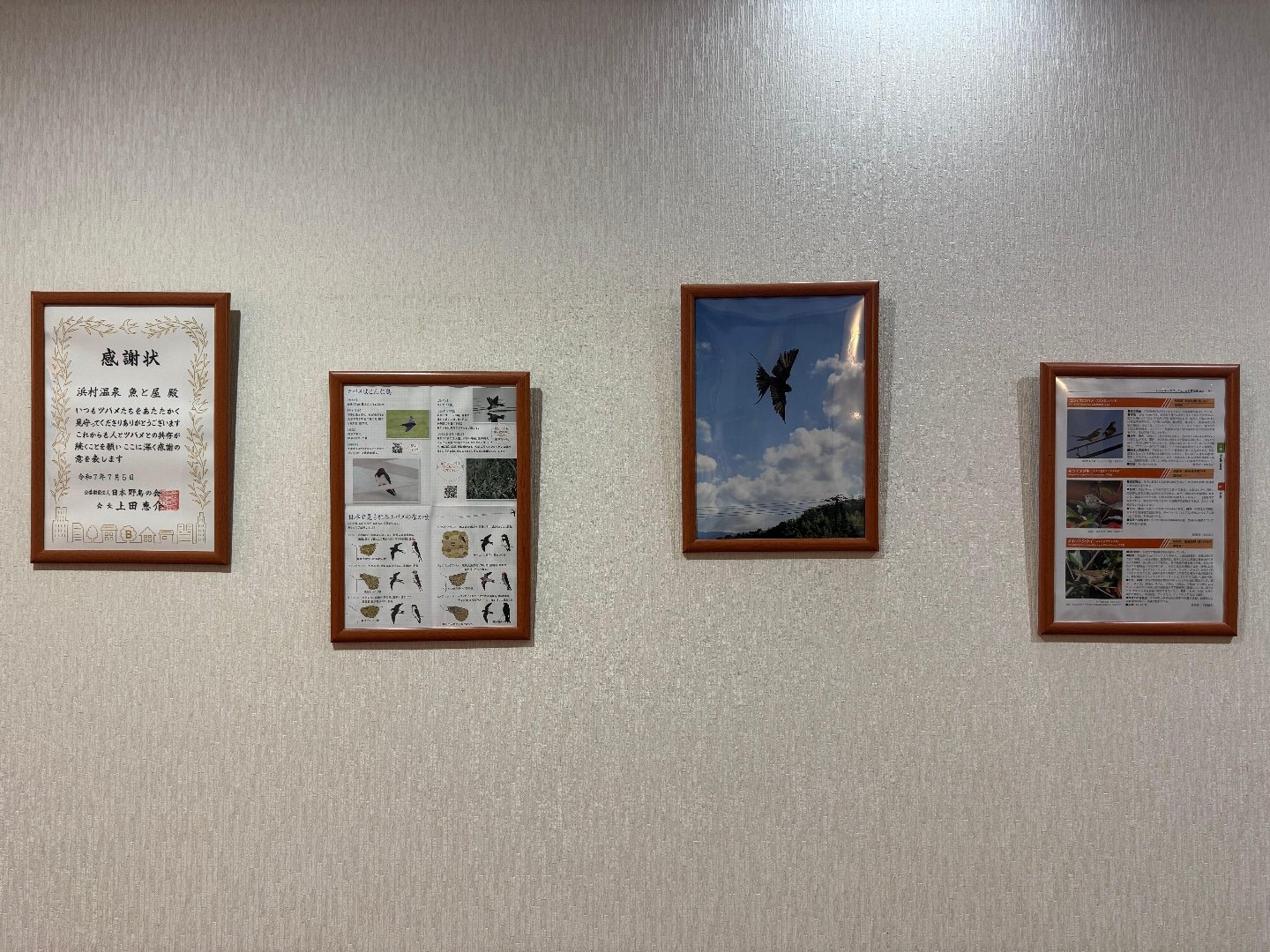 IMG_3727.jpeg