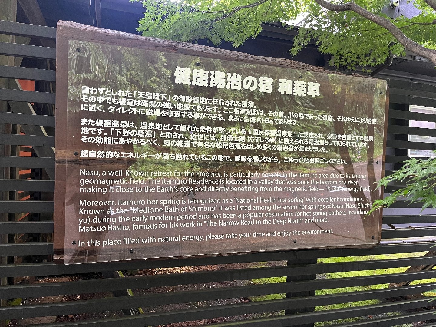 0465D762-08DE-4D88-8FFA-3D3F06EF669D.jpeg