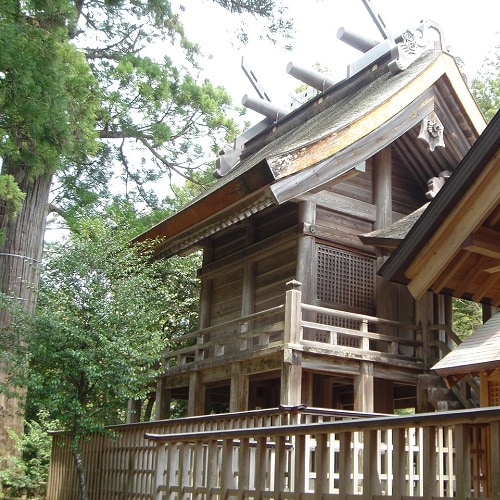 「須佐神社」的主殿和神樹是日本最有威力的景點之一！