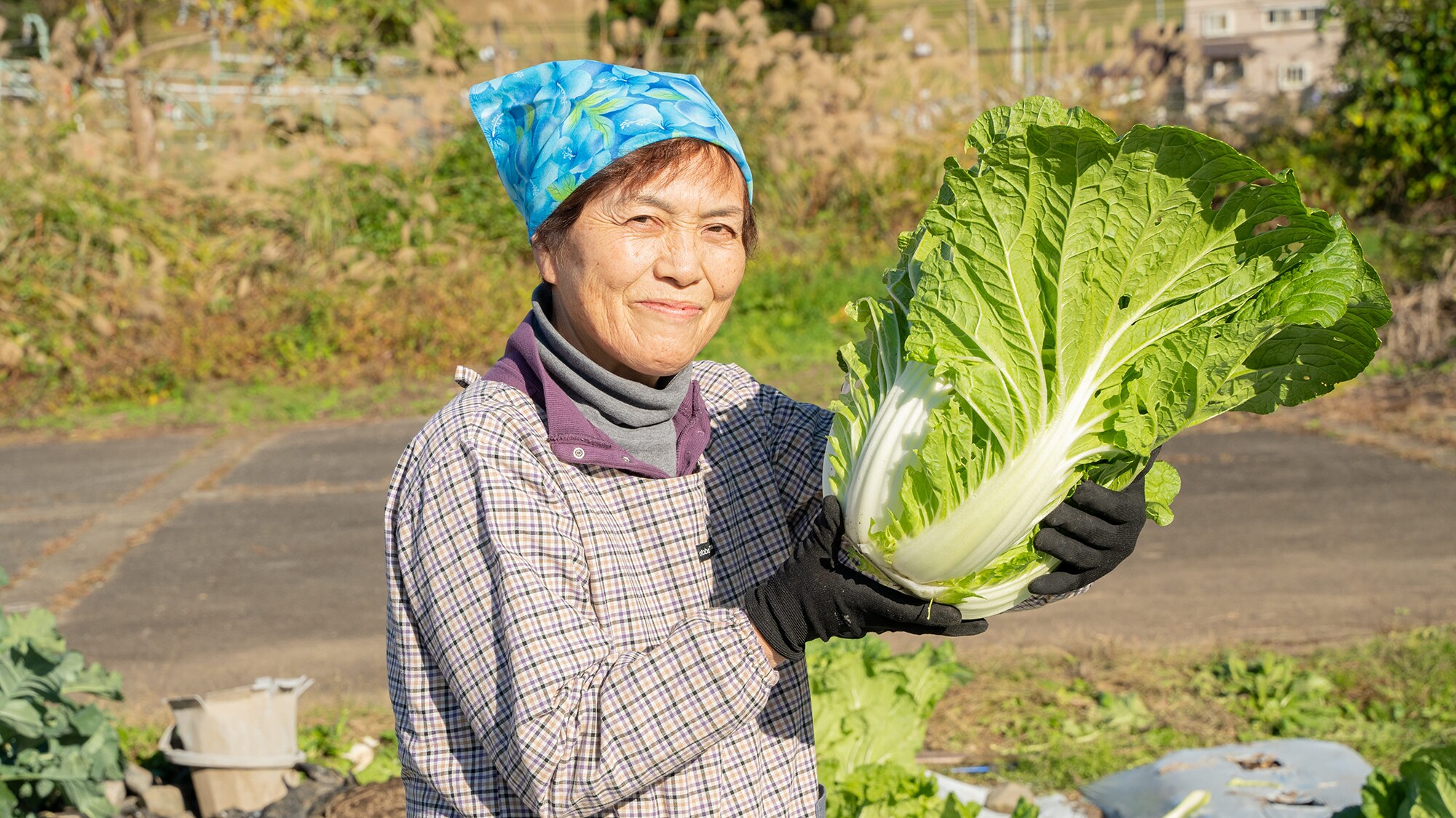 Meals: The owner and her homemade vegetables