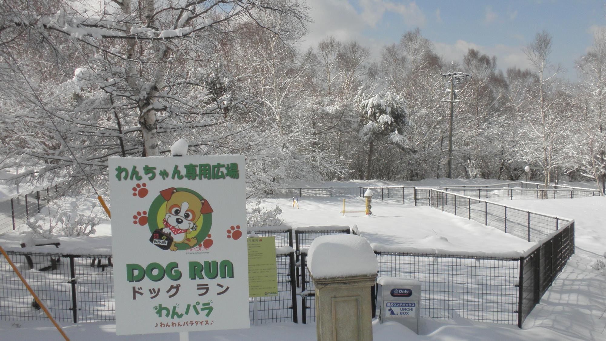 Snow dog run entrance