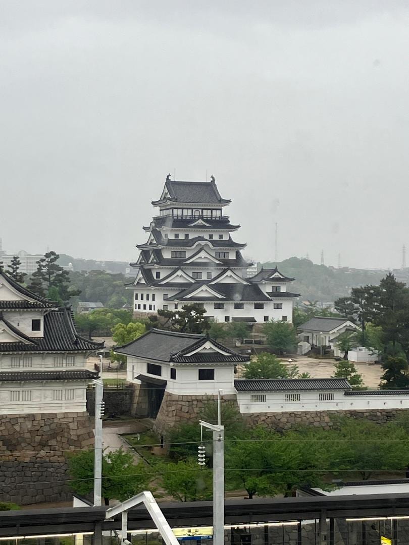 IMG_1027.jpeg