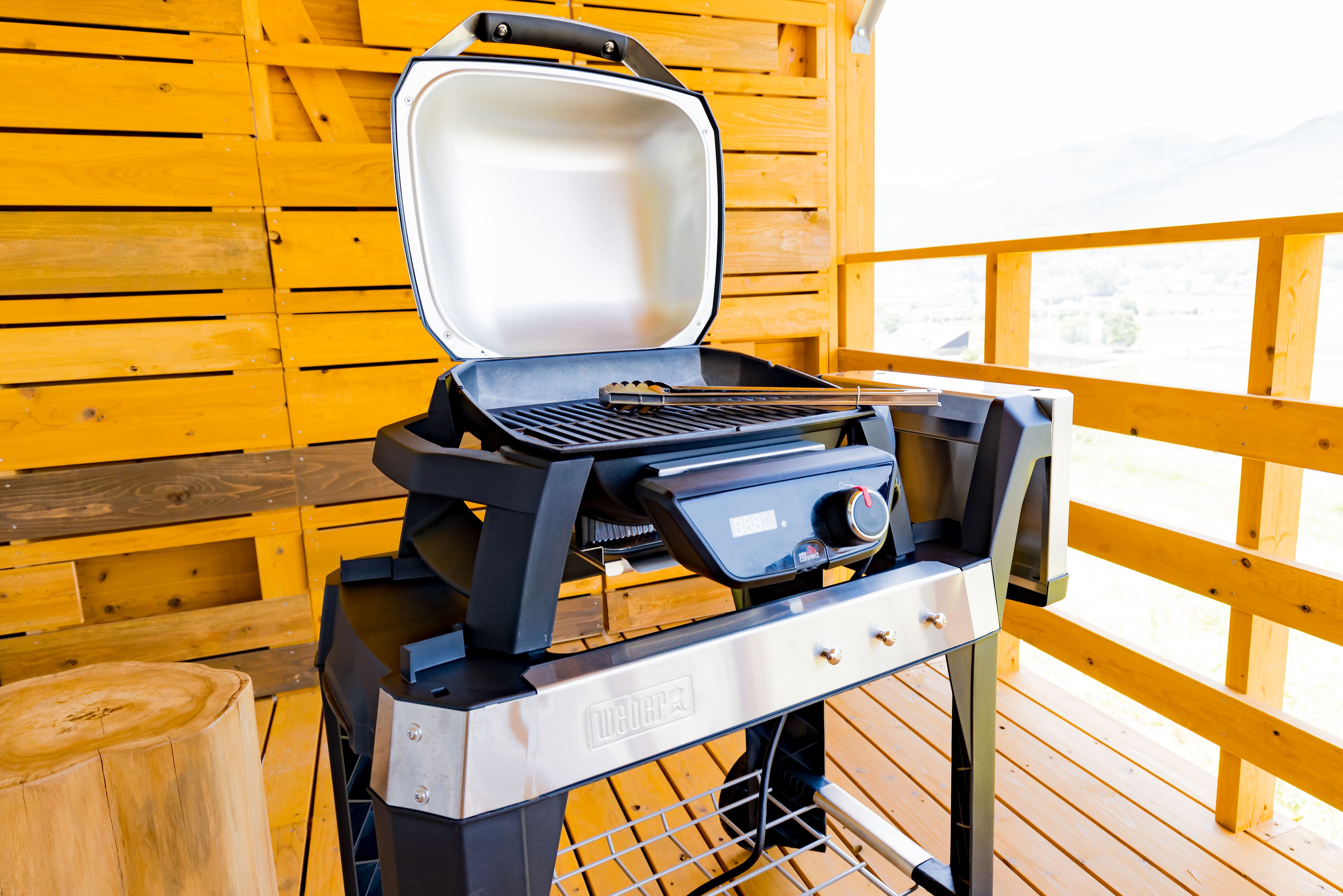 BBQ equipment (image)