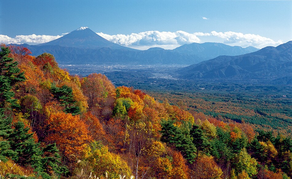 Switch image 20210123_3