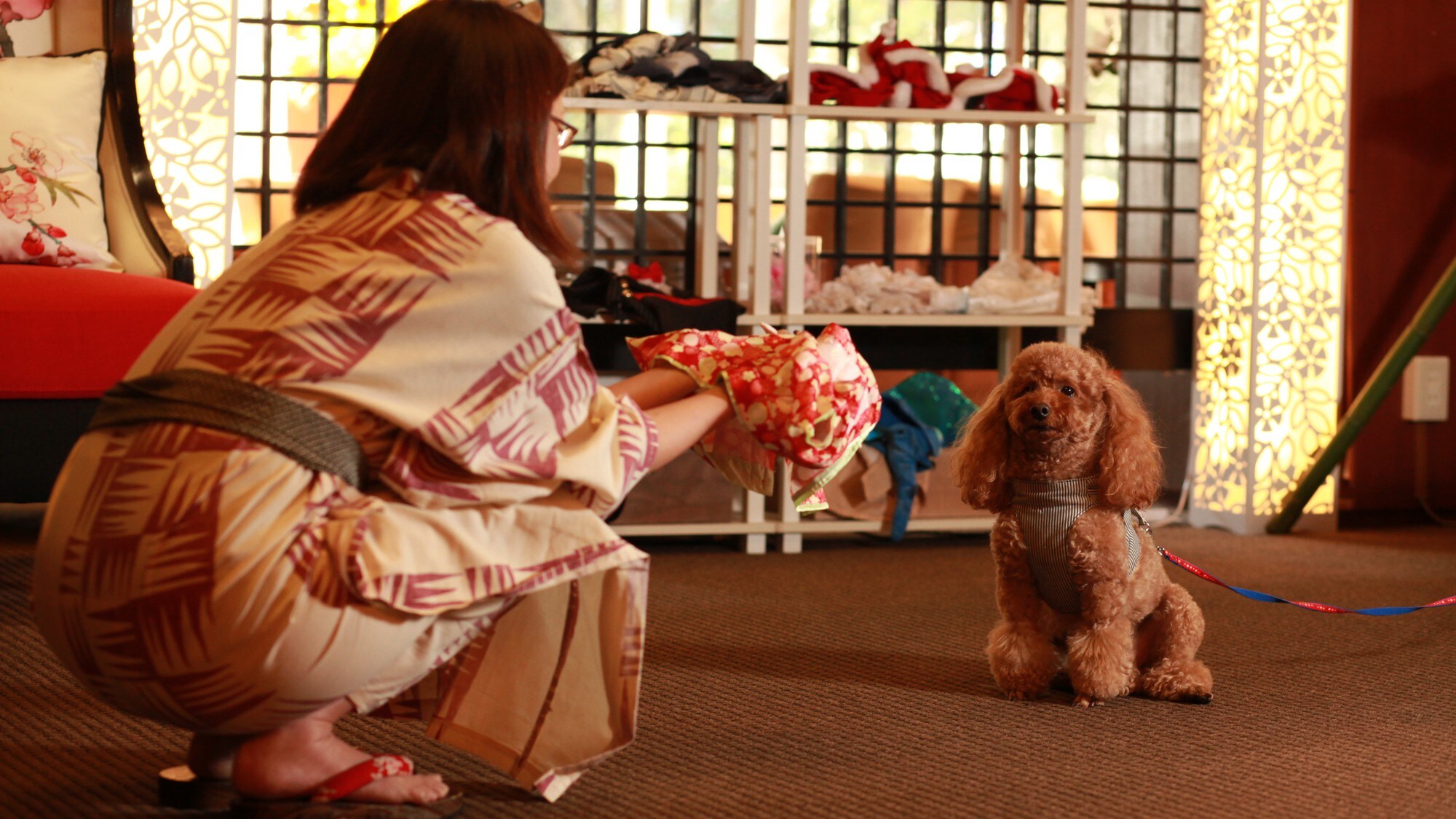 Dog image