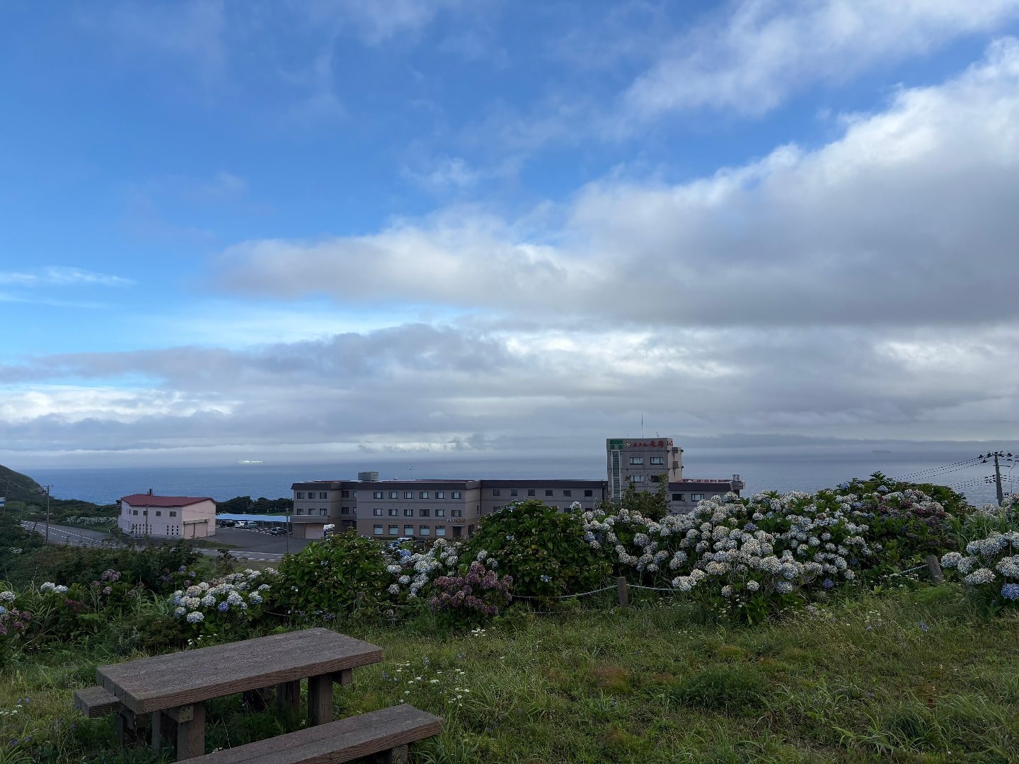 IMG_5296.jpeg