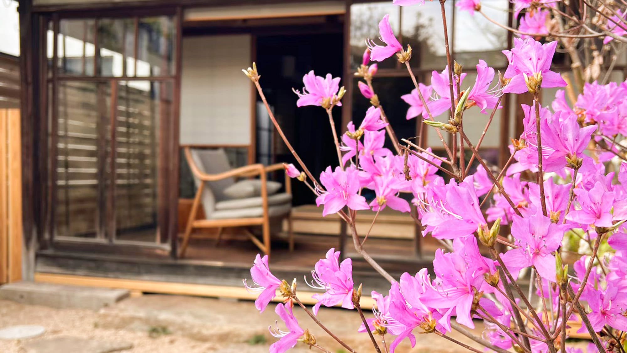 ・[สวนภายใน] ต้นไม้นานาพันธุ์ที่ปรากฏขึ้นตามฤดูกาลก็ถือเป็นไฮไลท์เช่นกัน