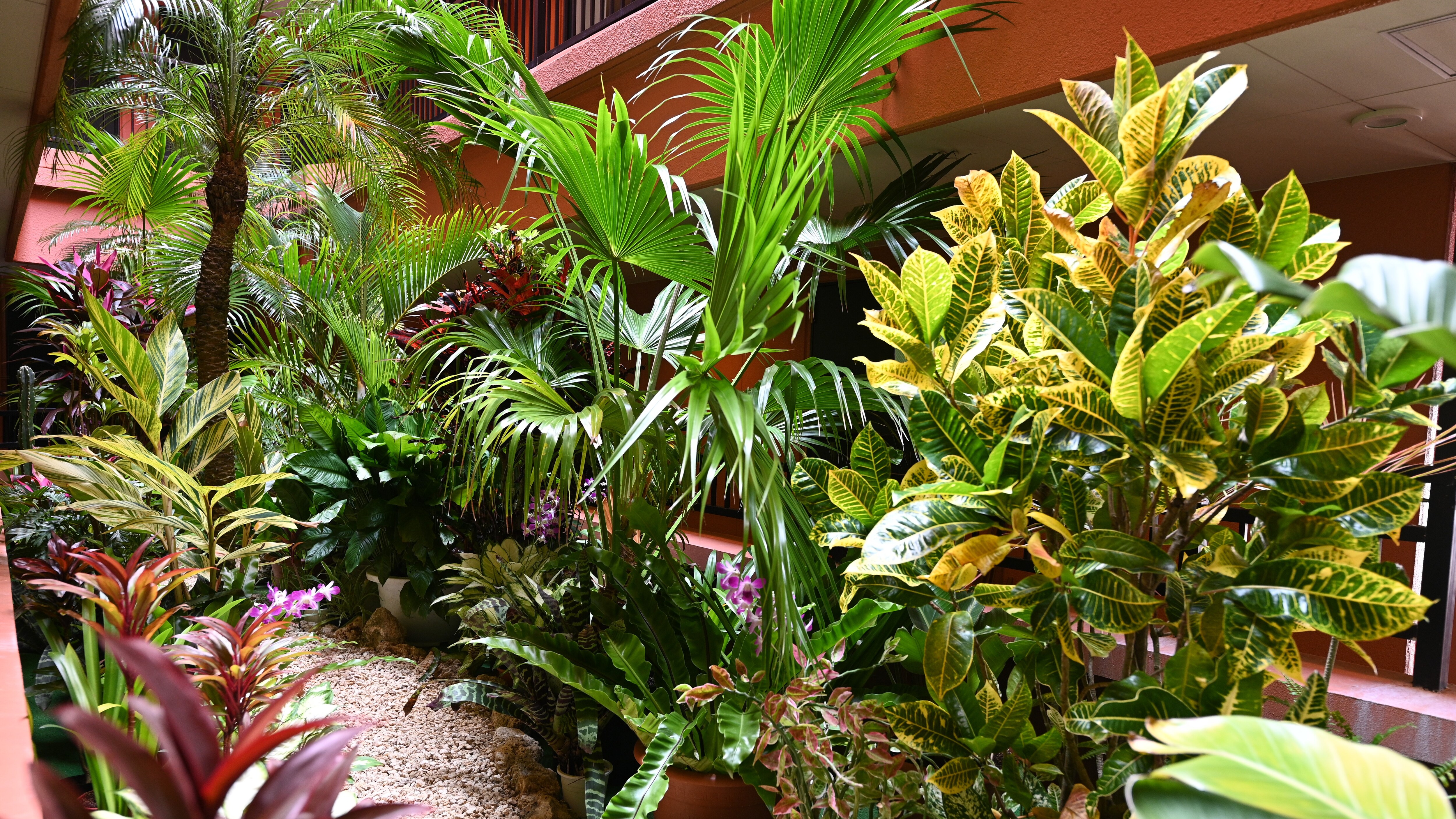 迷你植物園