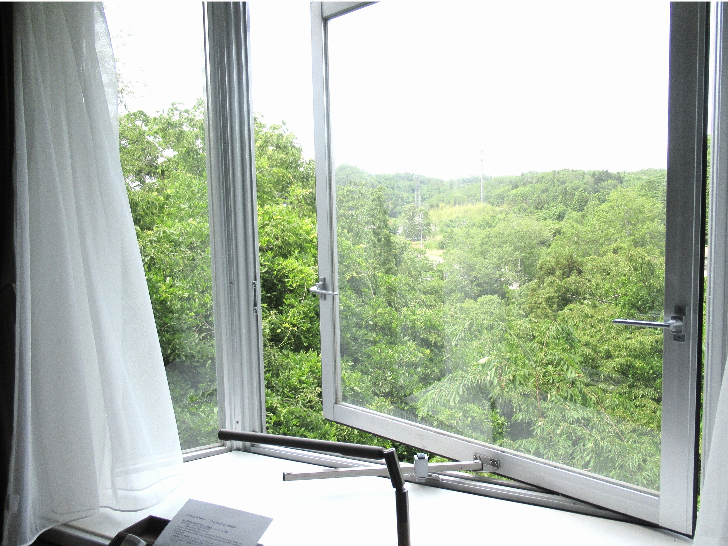 Room view