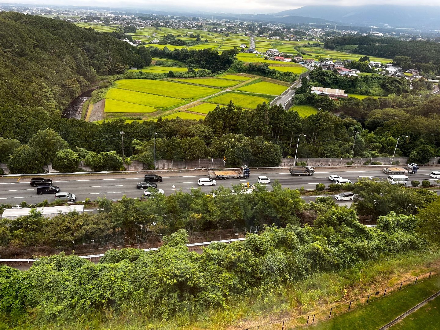 5E83B055-8C22-49C7-9062-537961039DF5.jpeg
