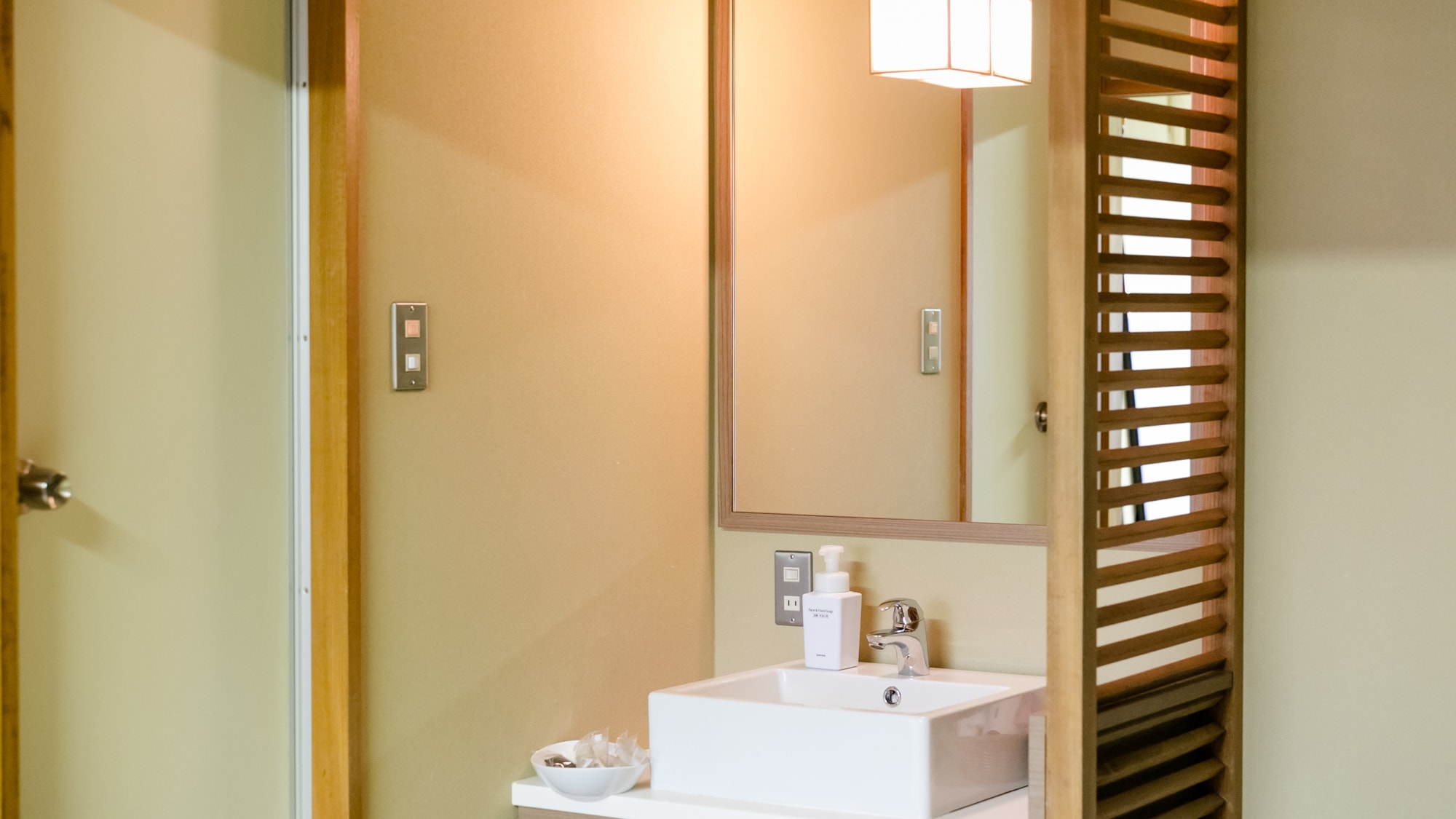 Japanese-style room 10 tatami mats (washroom) No bath