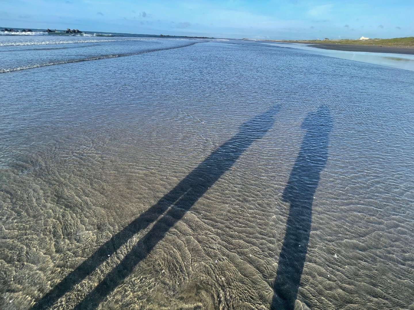C3927655-1FA1-4ABD-A62F-0EB4EA27DEC4.jpeg