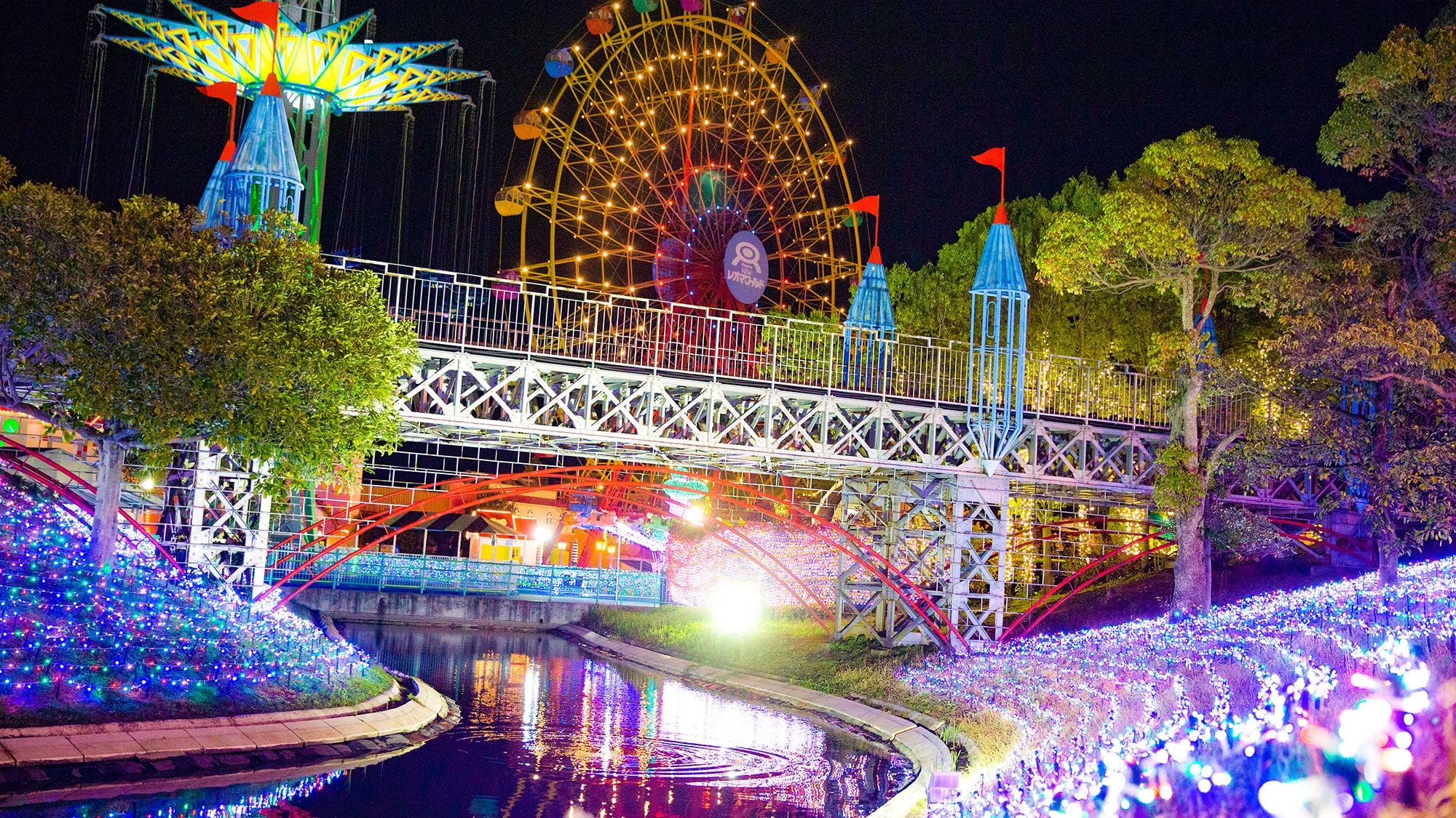 Ferris wheel and bird flyer at night
