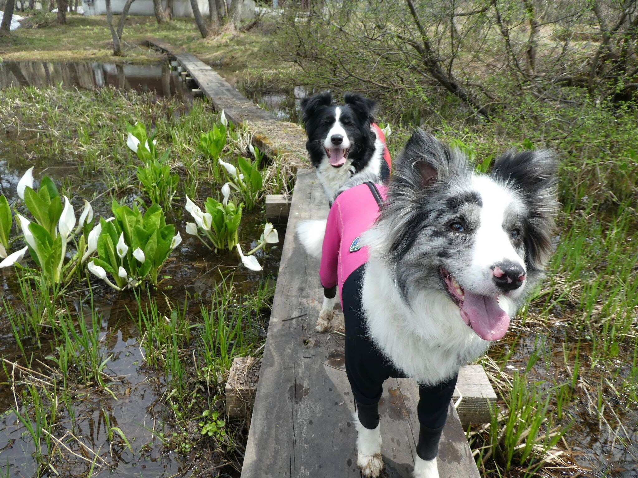 Happy in nature