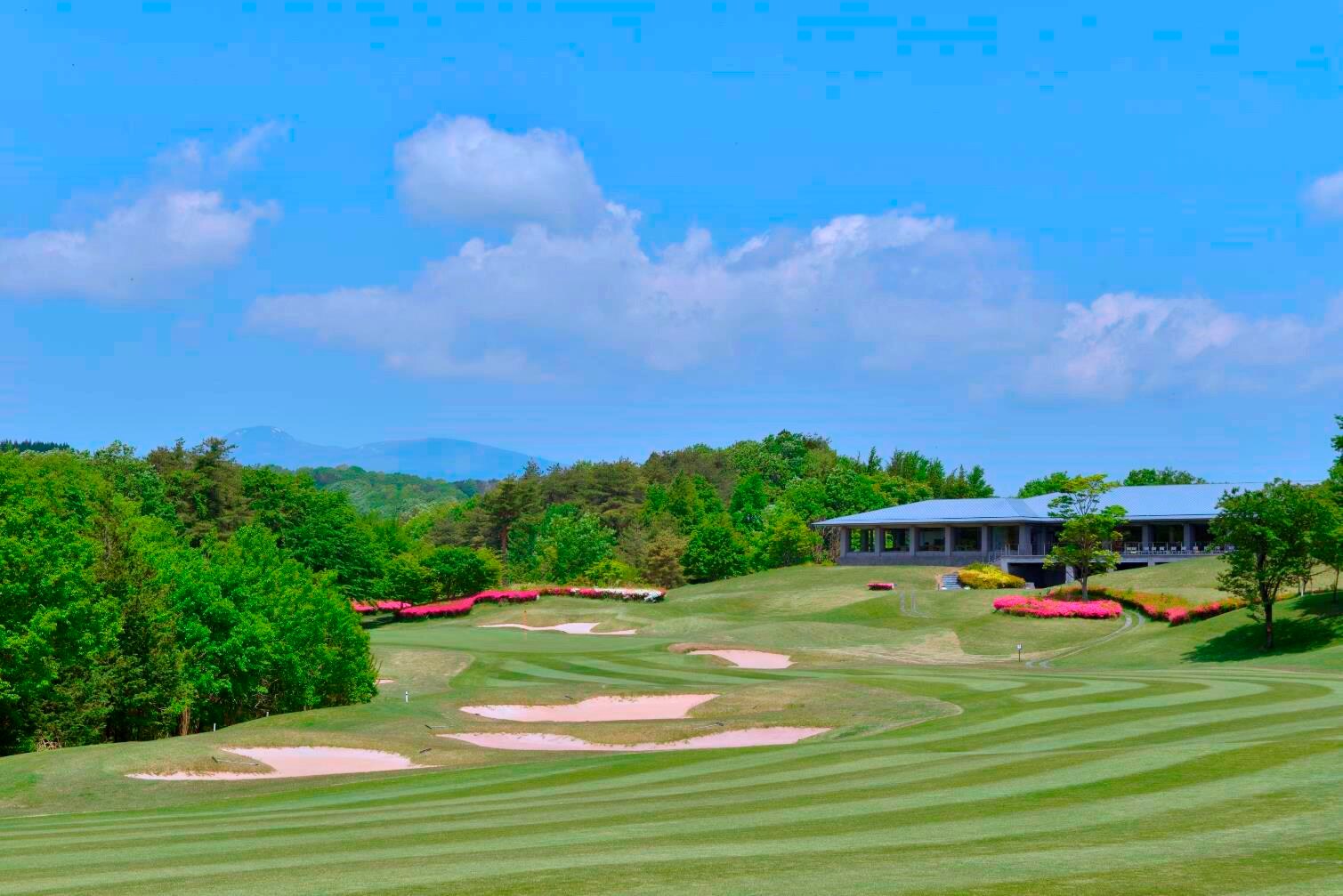 高尔夫球场附近的酒店