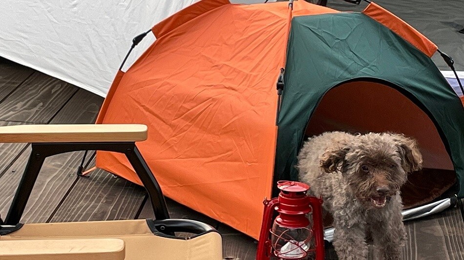 Raku x Raku Camping（可攜帶寵物）
