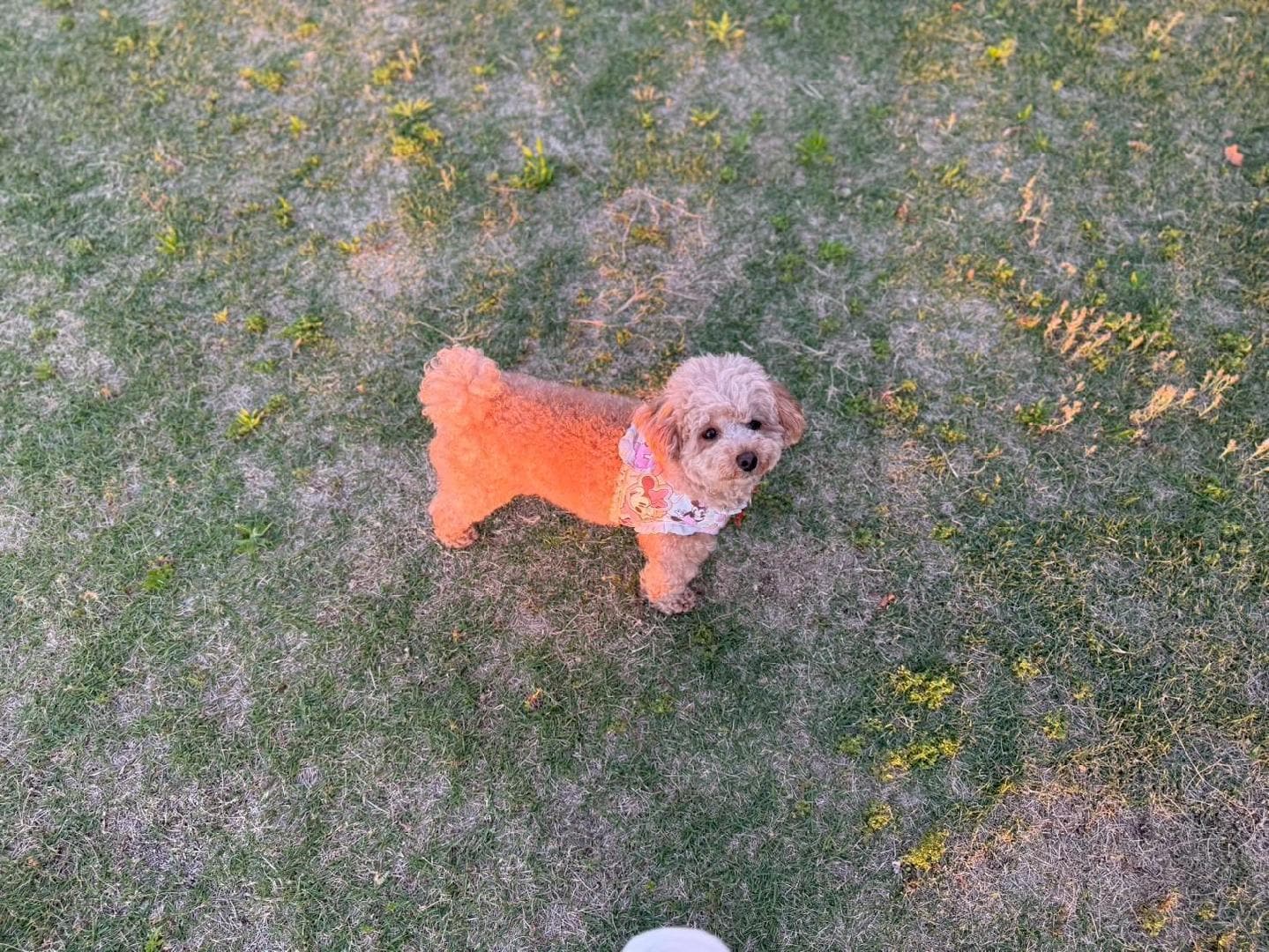1000005008.jpg