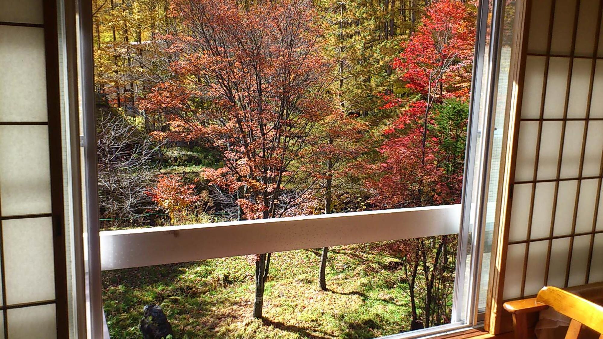 *Sit in a chair by the window and enjoy the view outside.