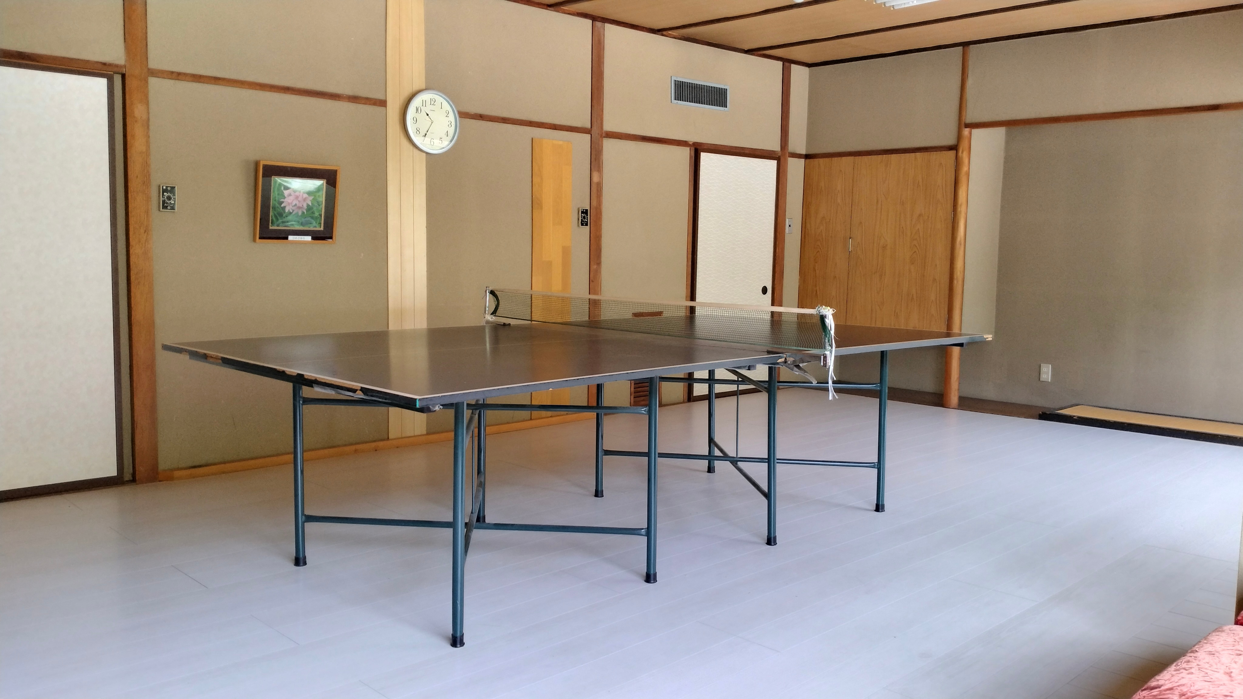 Table tennis court