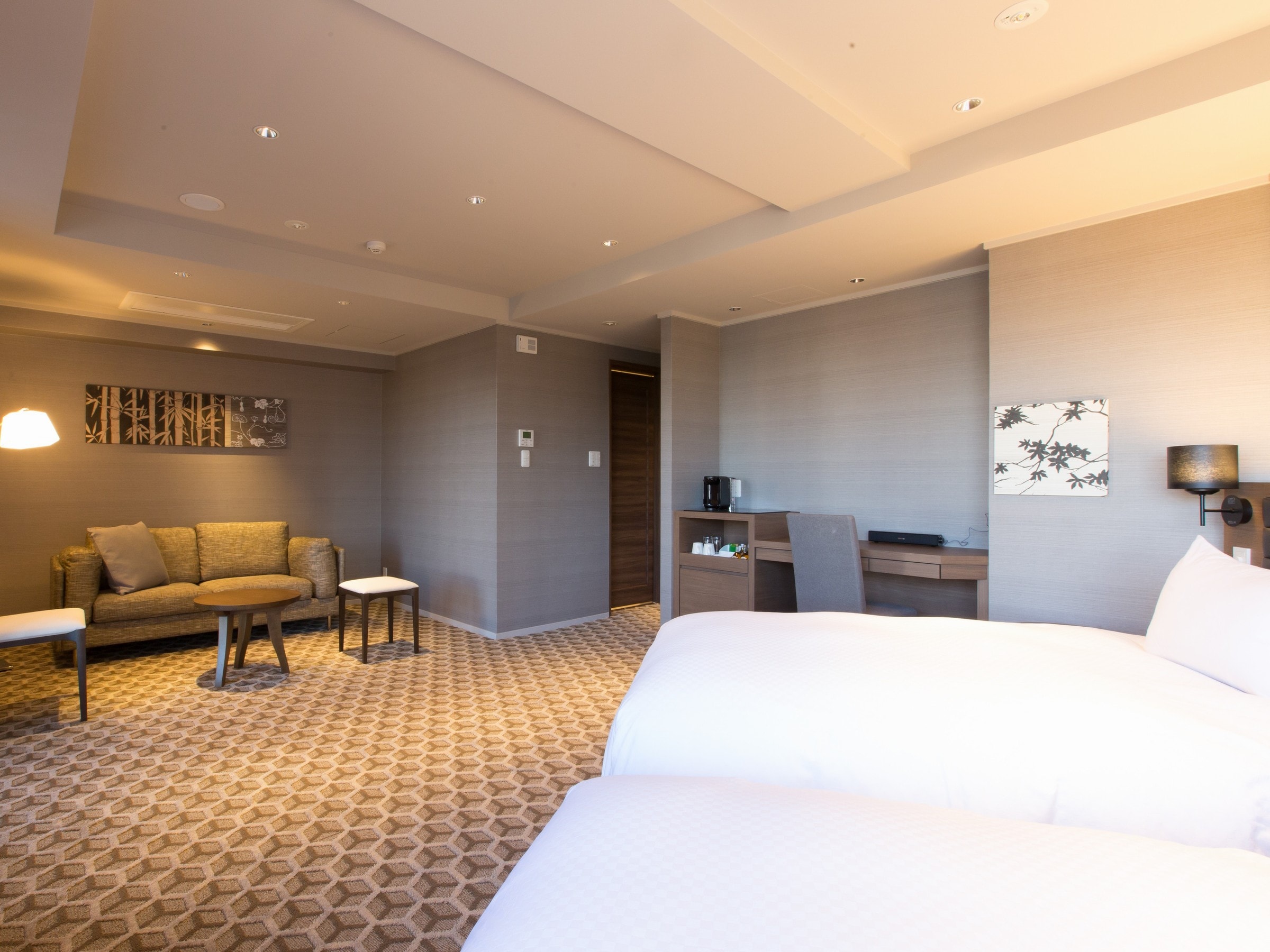 Deluxe Large Twin Room③