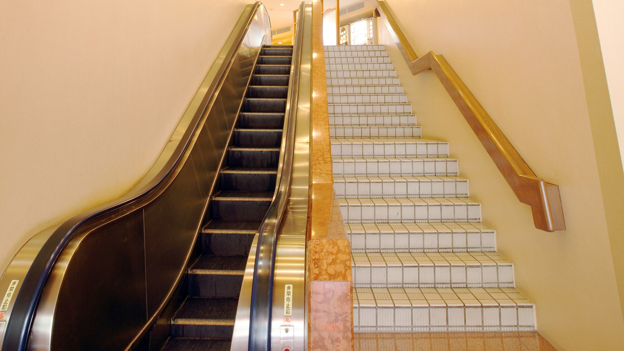 ◆ 自動扶梯